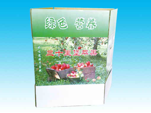 某某產(chǎn)品介紹